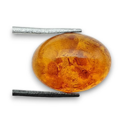 Bursztyn bałtycki kaboszon 16x12 mm nr 736 Bursztyn bałtycki kaboszon 16x12 mm nr 736