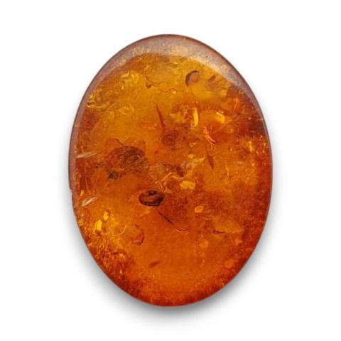 Bursztyn bałtycki kaboszon 16x12 mm nr 736 Bursztyn bałtycki kaboszon 16x12 mm nr 736