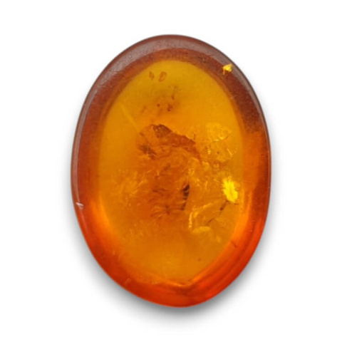 Bursztyn bałtycki kaboszon 16x12 mm nr 868 Bursztyn bałtycki kaboszon 16x12 mm nr 868