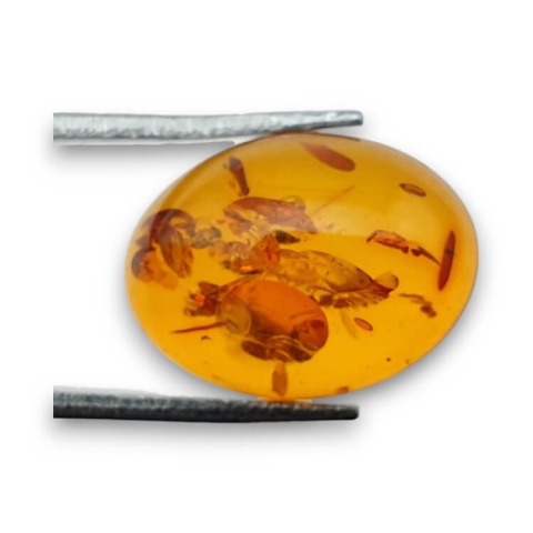 Bursztyn bałtycki kaboszon 16x12 mm nr 899 Bursztyn bałtycki kaboszon 16x12 mm nr 899