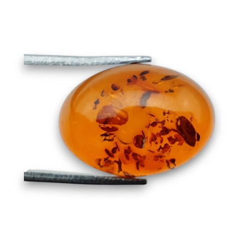 Bursztyn bałtycki kaboszon 18x13 mm nr 806 Bursztyn bałtycki kaboszon 18x13 mm nr 806