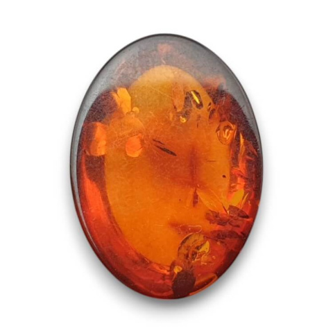 Bursztyn bałtycki kaboszon 18x13 mm nr 808 Bursztyn bałtycki kaboszon 18x13 mm nr 808