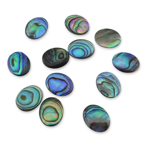 Paua abalone kaboszon 10x8 mm 1 szt. Paua abalone kaboszon 10x8 mm 1 szt.