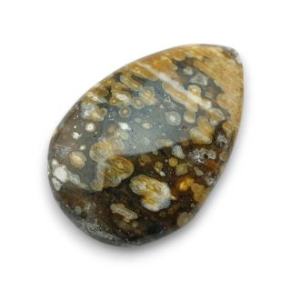 Jaspis oceaniczny kaboszon 28x19 mm nr 56