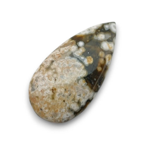 Jaspis oceaniczny kaboszon 30x15 mm nr 110 Jaspis oceaniczny kaboszon 30x15 mm nr 110