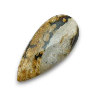 Jaspis oceaniczny kaboszon 30x15 mm nr 112