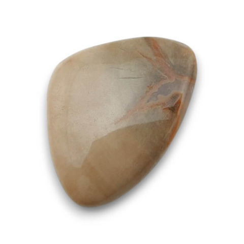 Skamieniałe drewno kaboszon 28x20 mm nr 57 Skamieniałe drewno kaboszon 28x20 mm nr 57