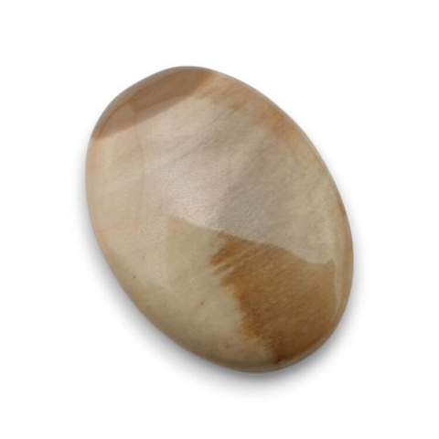 Skamieniałe drewno kaboszon 28x21 mm nr 52 Skamieniałe drewno kaboszon 28x21 mm nr 52
