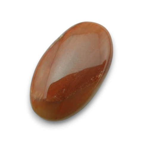 Skamieniałe drewno kaboszon 29x17 mm nr 54 Skamieniałe drewno kaboszon 29x17 mm nr 54