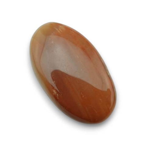 Skamieniałe drewno kaboszon 29x17 mm nr 54 Skamieniałe drewno kaboszon 29x17 mm nr 54