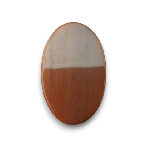 Skamieniałe drewno kaboszon 31x19 mm nr 58 Skamieniałe drewno kaboszon 31x19 mm nr 58