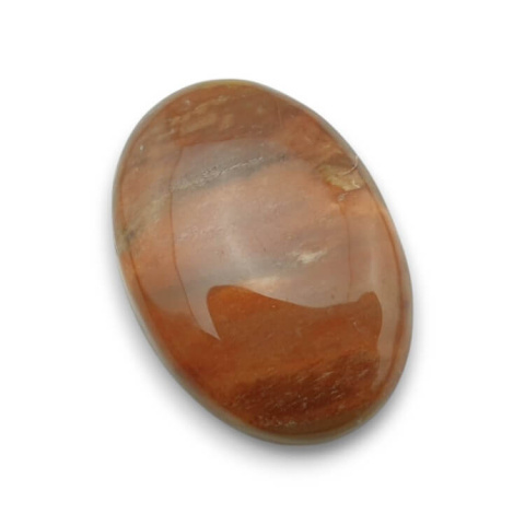 Skamieniałe drewno kaboszon 31x22 mm nr 37 Skamieniałe drewno kaboszon 31x22 mm nr 37