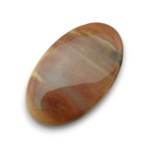 Skamieniałe drewno kaboszon 34x21 mm nr 32 Skamieniałe drewno kaboszon 34x21 mm nr 32
