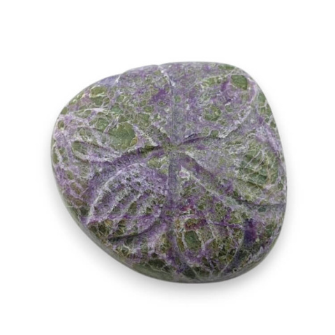 Stichtyt kaboszon carved 21x20 mm nr 61 Stichtyt kaboszon carved 21x20 mm nr 61