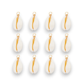 Muszla Kauri mini zawieszka 18-22 mm 4 szt kolor złoty