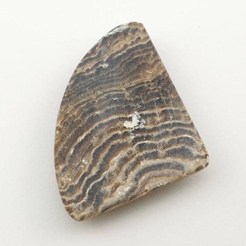 Aragonit kaboszon 4,0x2,8 cm nr 12 Aragonit kaboszon 4,0x2,8 cm nr 12