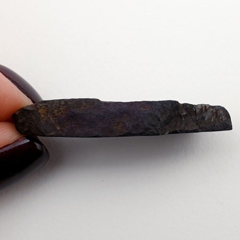 Purpuryt cięty surowy 36x15 mm nr 50
