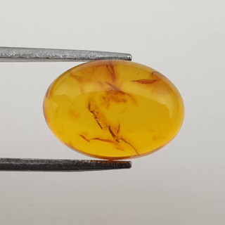 Bursztyn bałtycki kaboszon 14x10 mm nr 498