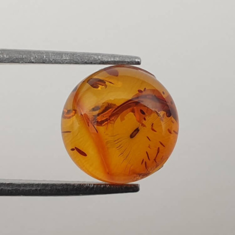 Bursztyn bałtycki kaboszon fi 10 mm nr 583 Bursztyn bałtycki kaboszon fi 10 mm nr 583