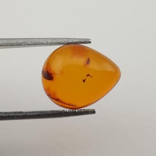 Bursztyn bałtycki kaboszon 12x10 mm nr 341