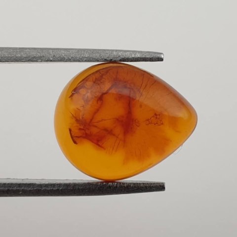 Bursztyn bałtycki para kaboszonów 12x10 mm nr 158 Bursztyn bałtycki para kaboszonów 12x10 mm nr 158