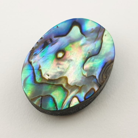 Paua abalone kaboszon 24x18 mm nr 157 Paua abalone kaboszon 24x18 mm nr 157