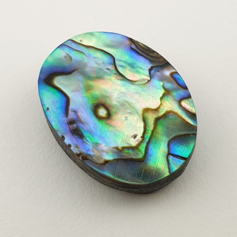 Paua abalone kaboszon 24x18 mm nr 157 Paua abalone kaboszon 24x18 mm nr 157