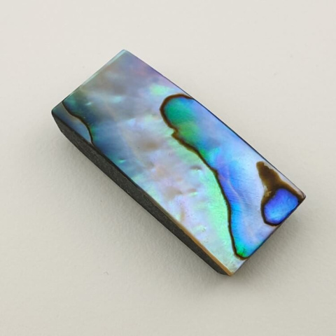 Paua abalone kaboszon 30x13 mm nr 141 Paua abalone kaboszon 30x13 mm nr 141