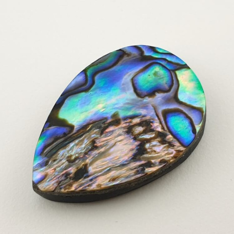 Paua abalone kaboszon 31x21 mm nr 139 Paua abalone kaboszon 31x21 mm nr 139