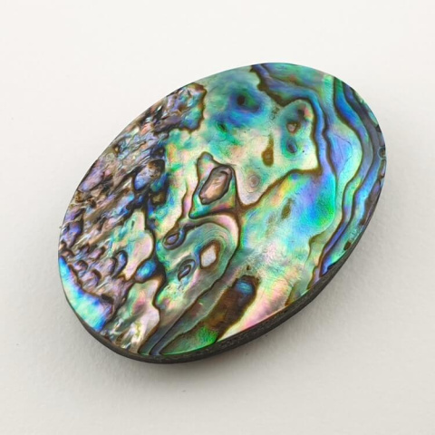 Paua abalone kaboszon 31x21 mm nr 144 Paua abalone kaboszon 31x21 mm nr 144