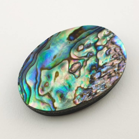 Paua abalone kaboszon 31x21 mm nr 144 Paua abalone kaboszon 31x21 mm nr 144