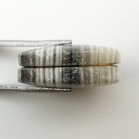 Jaspis zebra para kaboszonów z dziurką 19x14 mm nr P479 Jaspis zebra para kaboszonów z dziurką 19x14 mm nr P479