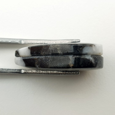 Jaspis zebra para kaboszonów z dziurką 24x15 mm nr P457 Jaspis zebra para kaboszonów z dziurką 24x15 mm nr P457