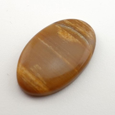 Skamieniałe drewno kaboszon 32x20 mm nr 8 Skamieniałe drewno kaboszon 32x20 mm nr 8