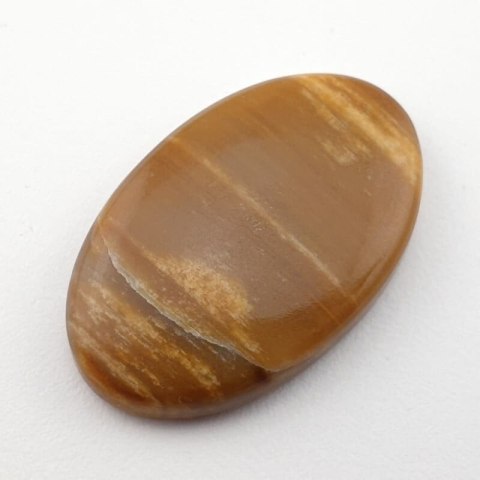 Skamieniałe drewno kaboszon 32x20 mm nr 8 Skamieniałe drewno kaboszon 32x20 mm nr 8