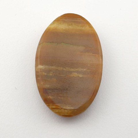 Skamieniałe drewno kaboszon 32x20 mm nr 8 Skamieniałe drewno kaboszon 32x20 mm nr 8